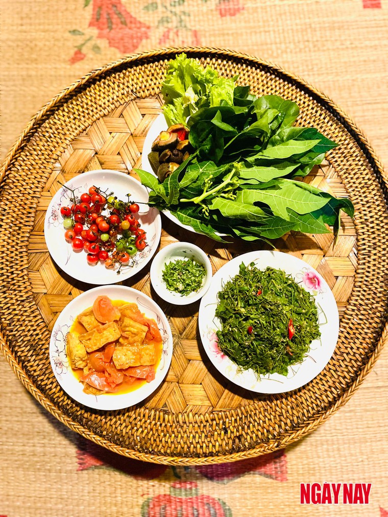 Nhật ký 99 ngày xuyên Việt: Chuyện về những chiếc lá trong vườn người Thái ảnh 11