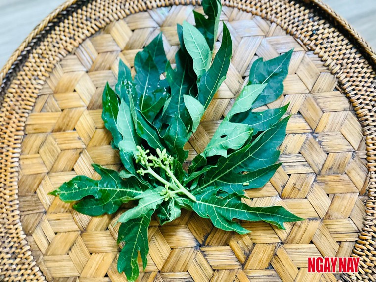 Nhật ký 99 ngày xuyên Việt: Chuyện về những chiếc lá trong vườn người Thái ảnh 10