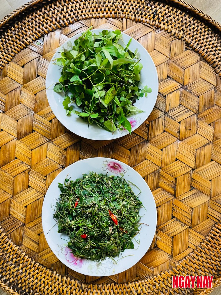 Nhật ký 99 ngày xuyên Việt: Chuyện về những chiếc lá trong vườn người Thái ảnh 8