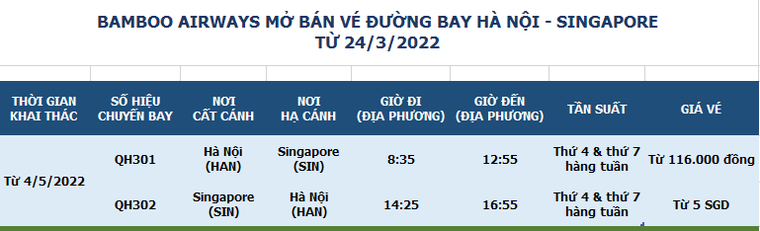 Bamboo Airways triển khai đường bay thẳng thường lệ Hà Nội - Singapore ảnh 1