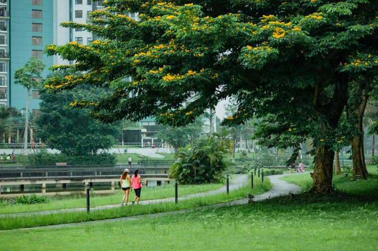 'Bí mật' của những người được thiên nhiên 'chữa lành' ở Ecopark ảnh 1