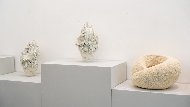 Khai mạc triển lãm gốm Nhật 'Yakishime: Dáng hình của đất' ảnh 6