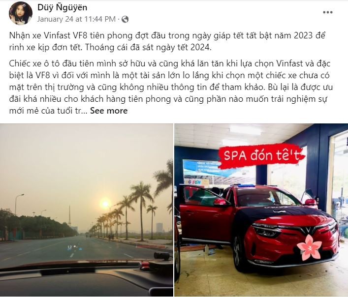 Hành trình “từ hoài nghi đến trung thành” của chủ xe điện VinFast ảnh 2