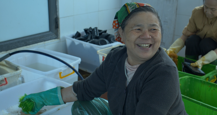 Thợ rửa bát ảnh 2