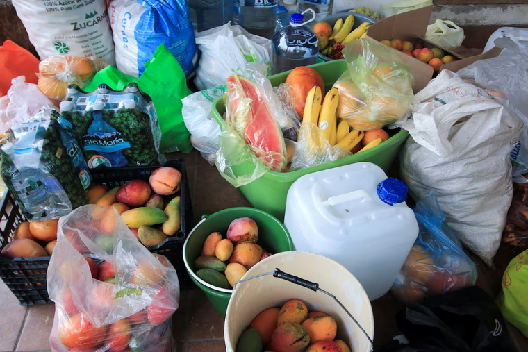 Mexico: Nắng nóng gay gắt khiến khỉ chết hàng loạt ảnh 1