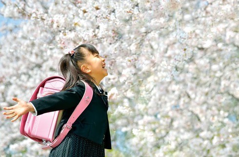 10 điều bên trong trường học khiến người Nhật được cả thế giới ngưỡng mộ ảnh 2