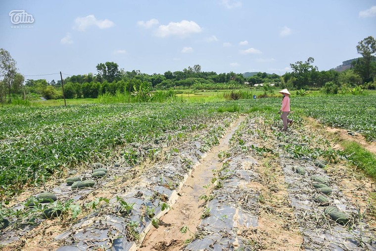 Khi nào ta khóc? ảnh 1