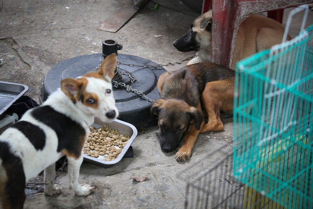 Chính thức xóa sổ 50 ki-ốt gần sân bay Tân Sơn Nhất ảnh 6