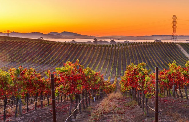 10 nơi ngắm lá thu đẹp mê hồn ở Mỹ ảnh 5