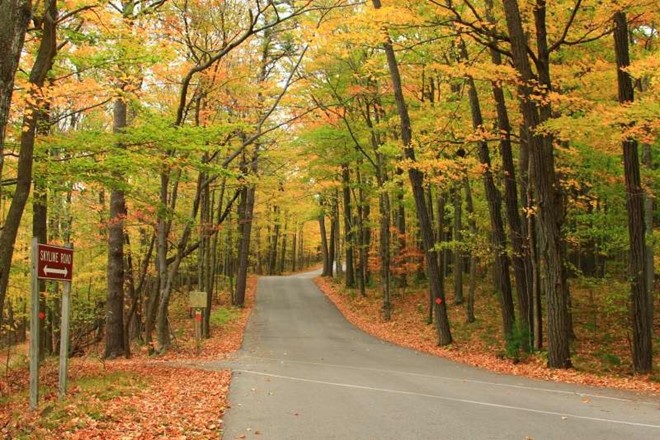 10 nơi ngắm lá thu đẹp mê hồn ở Mỹ ảnh 7