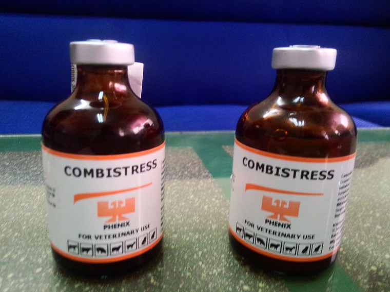 Yêu cầu 17 cán bộ giải trình vụ việc gần 4000 con heo bị tiêm thuốc an thần ảnh 1