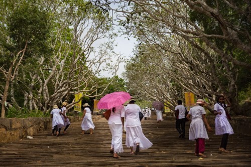 Ghé thăm chiếc nôi của Phật giáo ảnh 2