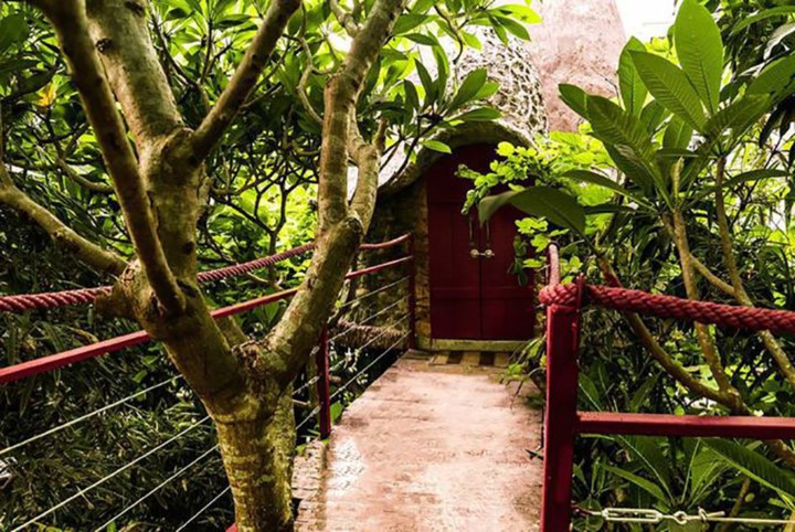 Những ngôi nhà trên cây ở Việt Nam ảnh 3