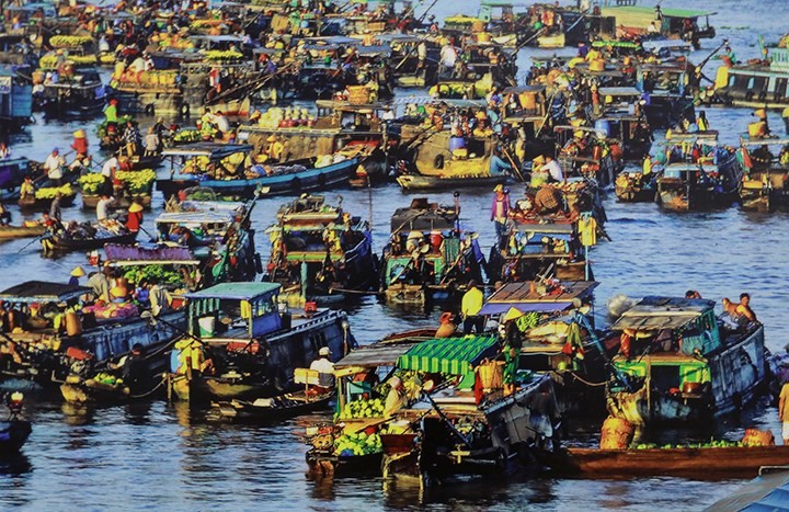 100 bức ảnh đẹp Việt Nam được giới thiệu tới đại biểu dự APEC 2017 ảnh 14