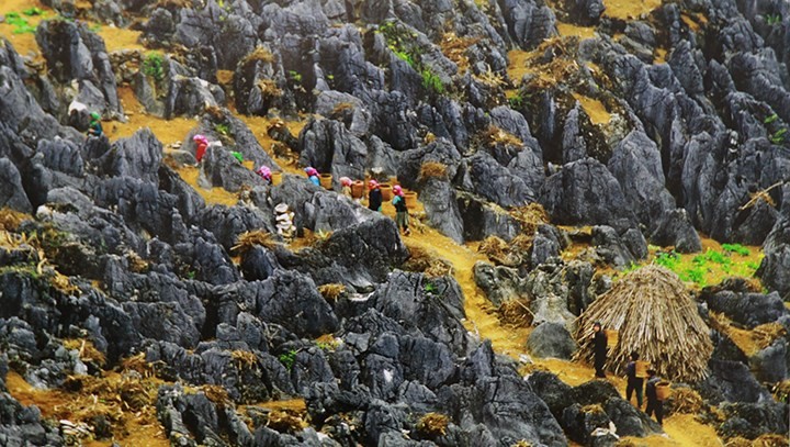 100 bức ảnh đẹp Việt Nam được giới thiệu tới đại biểu dự APEC 2017 ảnh 21