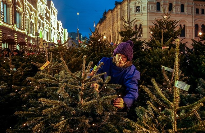 Thủ đô Moscow như “xứ sở cổ tích” trong mùa lễ hội ảnh 8