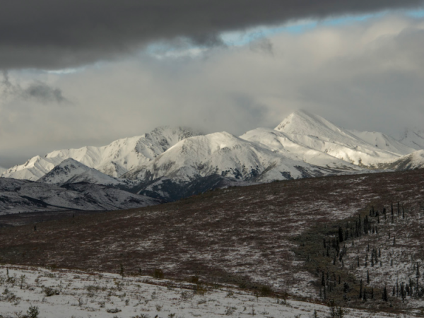 Chốn hoa lệ mùa Giáng sinh cho người giàu ảnh 10