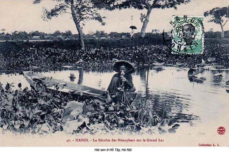 Vẻ đẹp hoang sơ của hồ Tây xưa ảnh 8