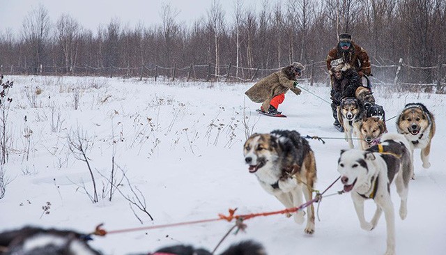Xe chó kéo - Dịch vụ du lịch siêu 'hot' ở Nga ảnh 4