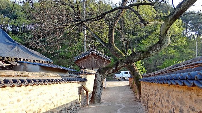 Vẻ đẹp của quê hương HLV Park Hang Seo ảnh 19