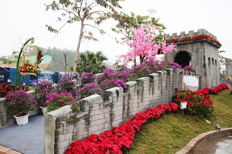 Khai mạc lễ hội hoa kéo dài 1 tháng tại Sun World Halong Complex ảnh 2