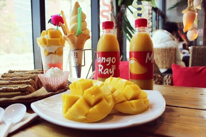 4 quán cafe nhất định phải check-in khi đến đảo Jeju Hàn Quốc ảnh 4