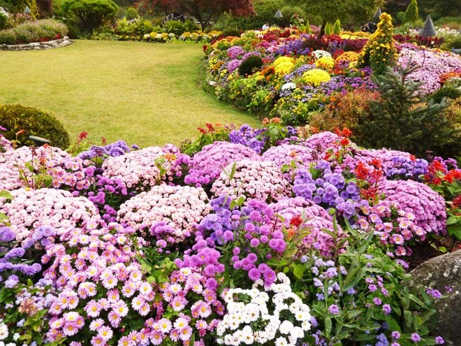 Lễ hội Hoa Xuân tại Hàn Quốc ảnh 2