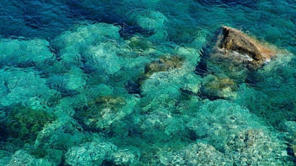 Hòn đảo ‘thác loạn’ - nơi chứng kiến những cuộc vui chơi trác táng của giới quý tộc Ý ảnh 4