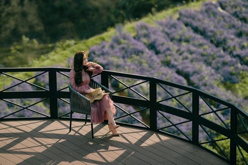 Cánh đồng hoa mới toanh ở Đà Lạt đẹp 'ngất ngây' đốn tim du khách. ảnh 2