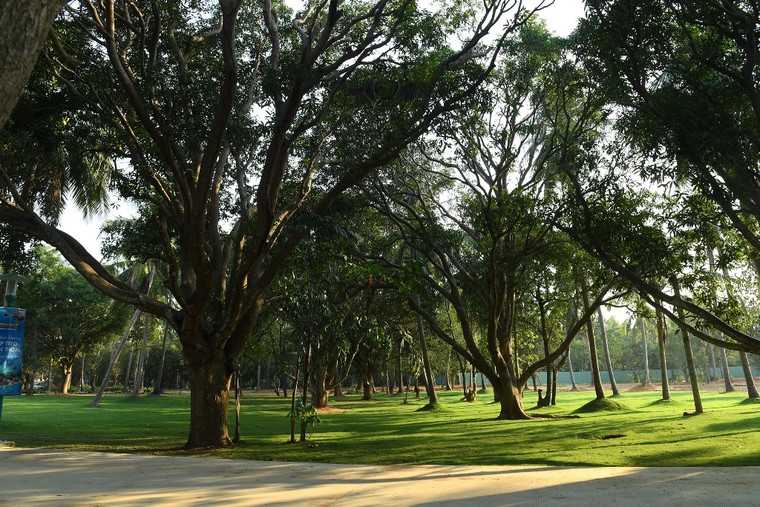 Trẻ em đi cùng bố mẹ được miễn phí vé cáp treo Hòn Thơm ảnh 1