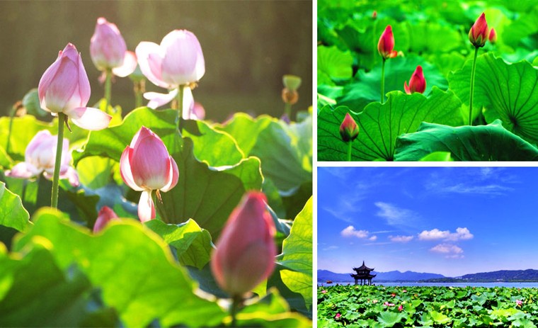 Đến thăm thành phố đẹp nhất thế giới tại Trung Quốc ảnh 7