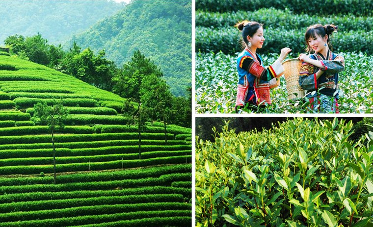 Đến thăm thành phố đẹp nhất thế giới tại Trung Quốc ảnh 8