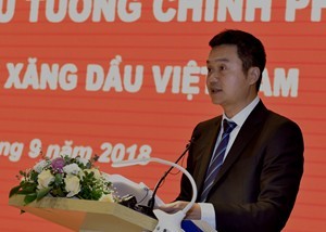 Tổ công tác của Thủ tướng đề nghị Petrolimex thoái vốn đúng chỉ đạo ảnh 1