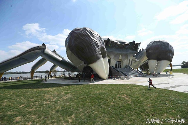 Viện bảo tàng hình con cua khổng lồ khiến du khách ngước nhìn mỏi cả mắt ảnh 4