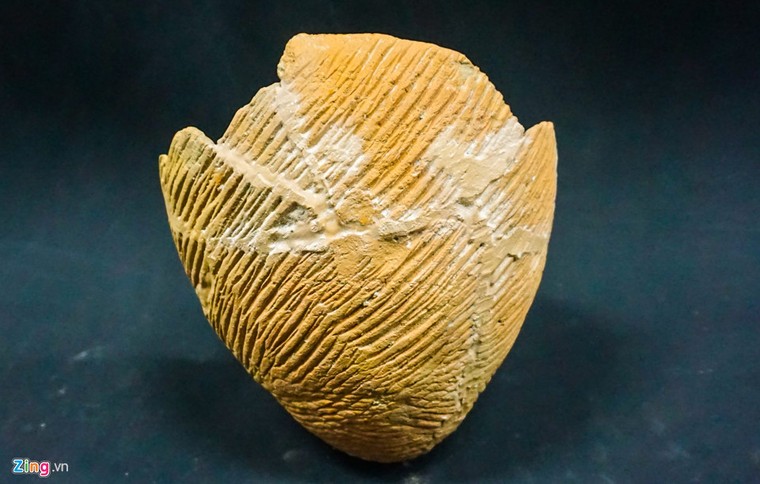 Vẻ đẹp huyền bí của di tích văn hoá Sa Huỳnh trên đảo Lý Sơn ảnh 6