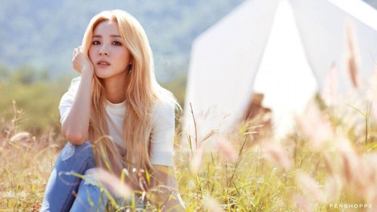 'Chàng béo' Psy giàu nhất làng giải trí Hàn Quốc ảnh 5