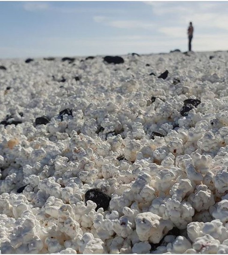 Kỳ lạ bãi biển chứa đầy bỏng ngô ảnh 3