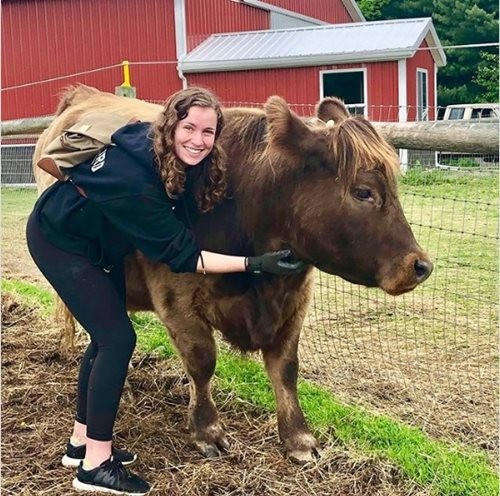 Bùng nổ dịch vụ ôm bò thư giãn với giá 75 USD mỗi giờ ảnh 2