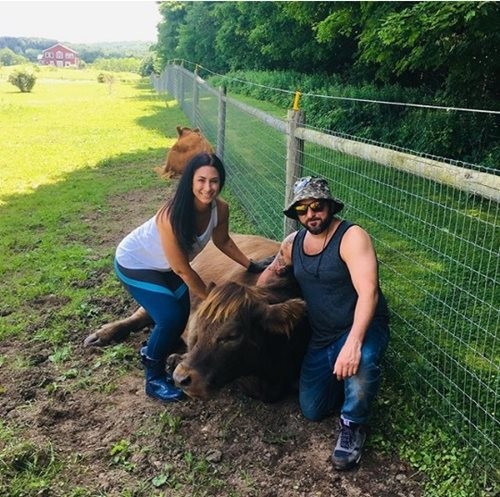 Bùng nổ dịch vụ ôm bò thư giãn với giá 75 USD mỗi giờ ảnh 3