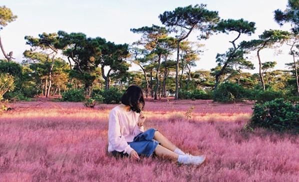 Gia Lai: Những điểm đến đẹp như tranh giữa đại ngàn ảnh 4