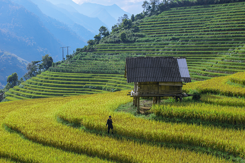 Ngắm Sa Pa đẹp lịm tim dù vắng bóng du khách ảnh 2
