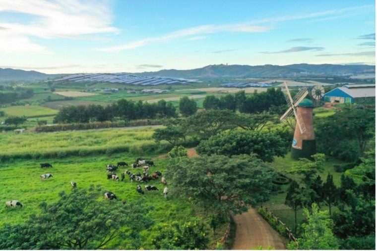 Giảm thiểu dấu chân carbon trong sản xuất tại doanh nghiệp sữa lớn nhất cả nước ảnh 1