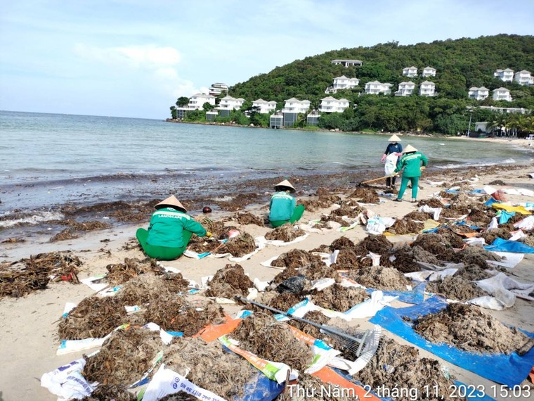 Phú Quốc đau đầu xử lý 'rác ngoại' ảnh 1