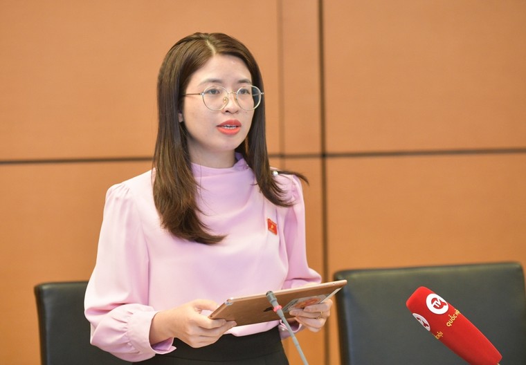 Luật Thủ đô cần quan tâm hơn đến phát triển du lịch, văn hóa ảnh 1