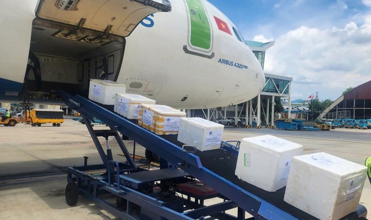 Gom góp yêu thương mùa trung thu cùng Bamboo Airways ảnh 4