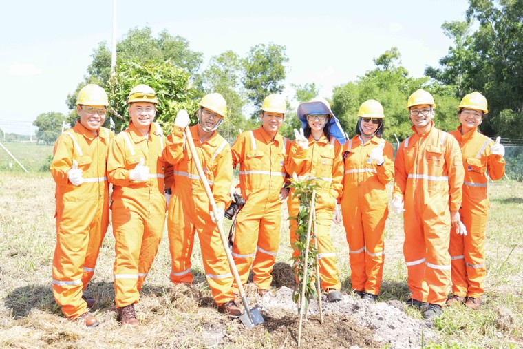 NCSP và PV GAS D chung tay phủ xanh không gian sống ảnh 1