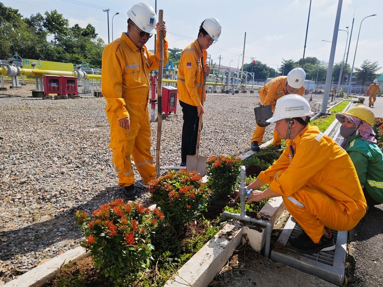 NCSP và PV GAS D chung tay phủ xanh không gian sống ảnh 2