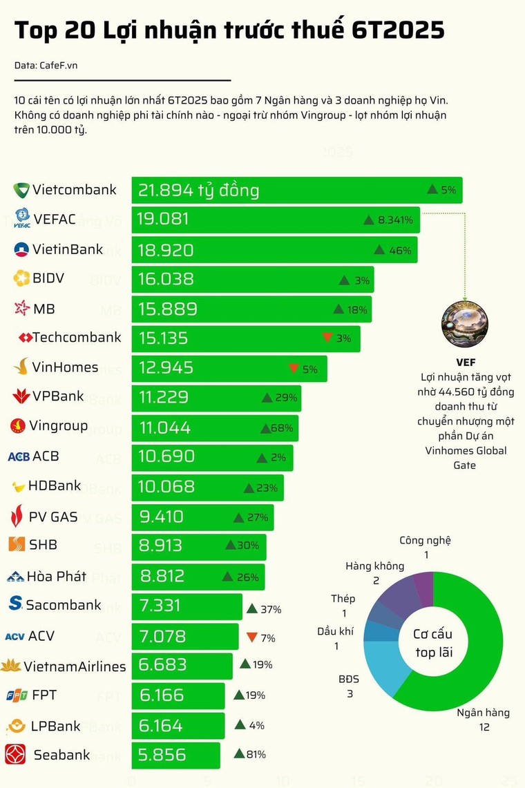 PV GAS – Doanh nghiệp sản xuất hiếm hoi trong Top 12 doanh nghiệp có lợi nhuận cao nhất Việt Nam 6 tháng đầu năm 2025 ảnh 1