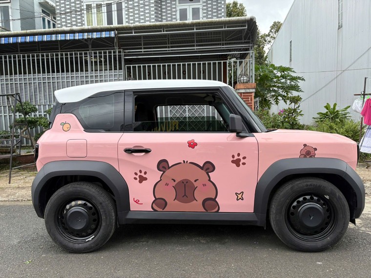 Chủ xe VinFast VF 3: “Chiếc xe thay đổi thói quen di chuyển của cả gia đình” ảnh 1