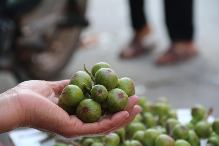 Những hy vọng trong chiều cuối năm ảnh 10